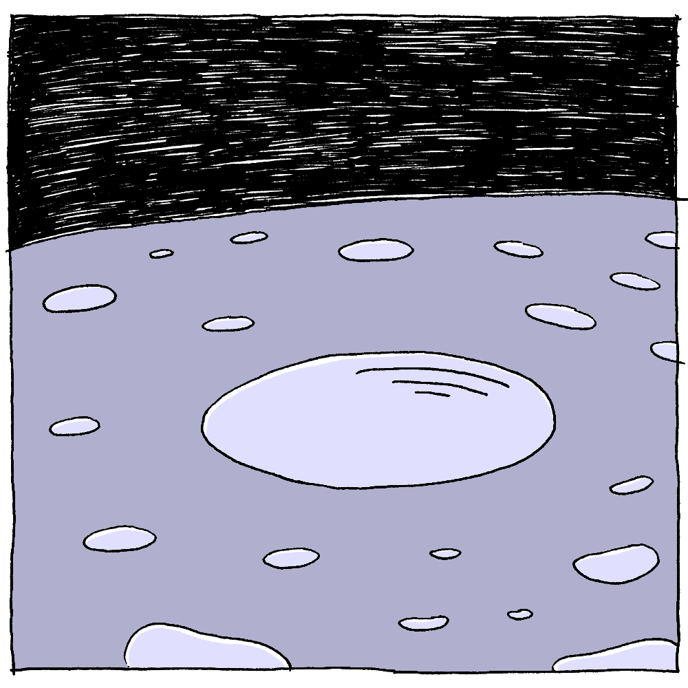 On voit comme un paysage lunaire avec des cratères, qui est une cellule en gros plan.